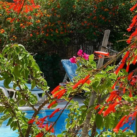 Yavuz * Fethiye