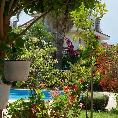 Villa Yavuz Fethiye